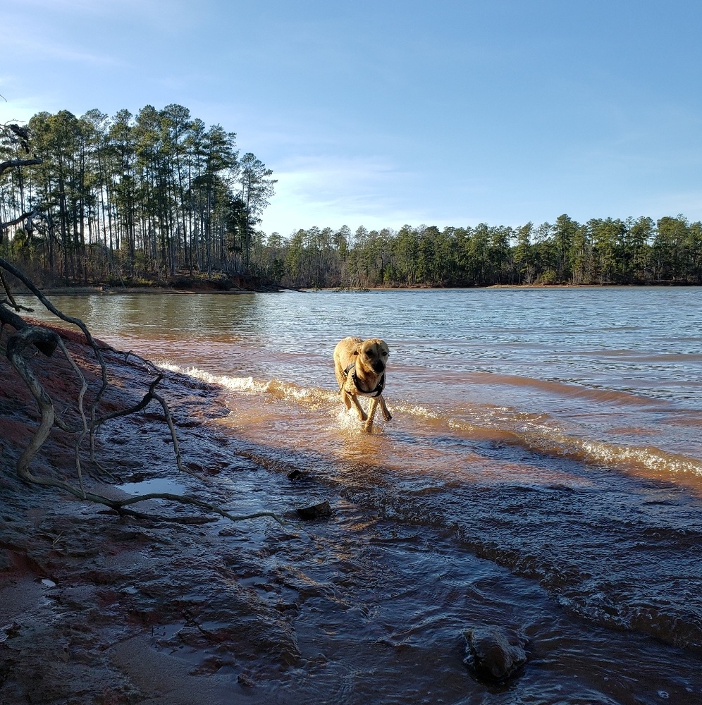 Meet your Posher, Dax